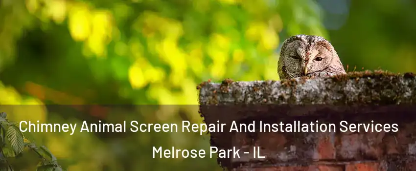  Chimney Animal Screen Repair And Installation Services Melrose Park - IL