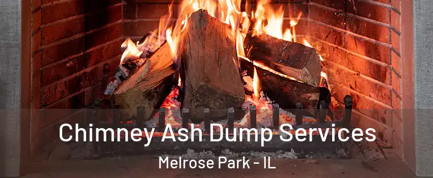  Chimney Ash Dump Services Melrose Park - IL