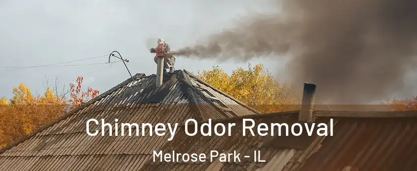  Chimney Odor Removal Melrose Park - IL