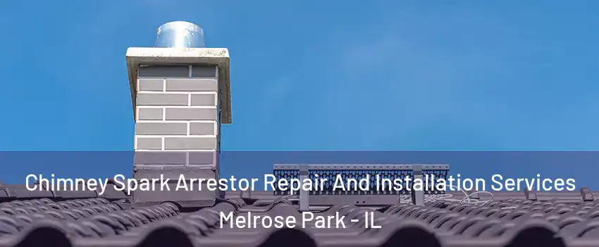  Chimney Spark Arrestor Repair And Installation Services Melrose Park - IL