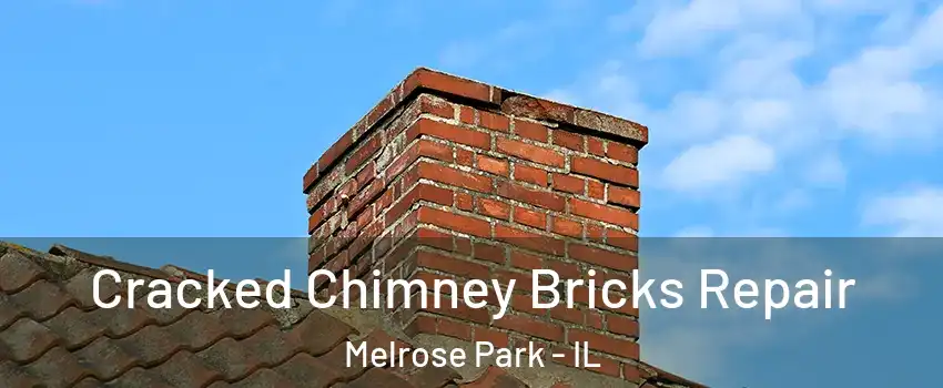  Cracked Chimney Bricks Repair Melrose Park - IL
