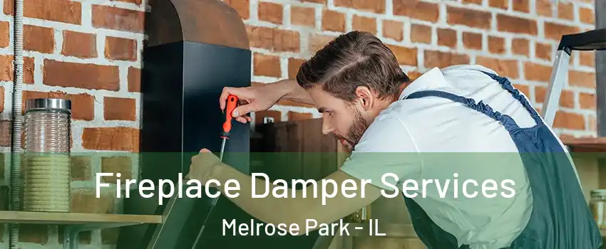  Fireplace Damper Services Melrose Park - IL