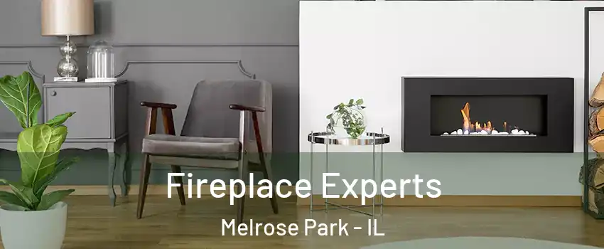  Fireplace Experts Melrose Park - IL
