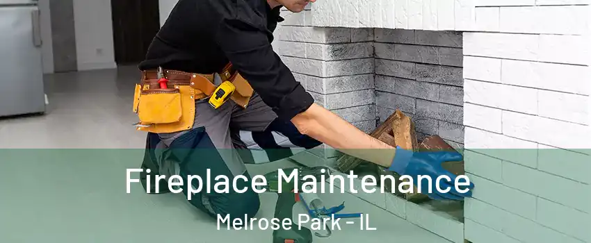  Fireplace Maintenance Melrose Park - IL