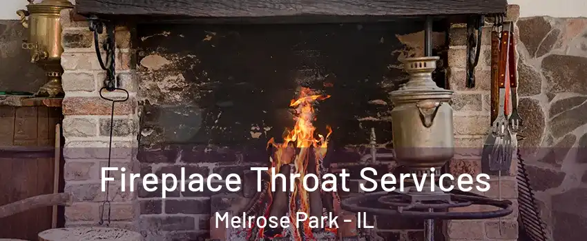  Fireplace Throat Services Melrose Park - IL