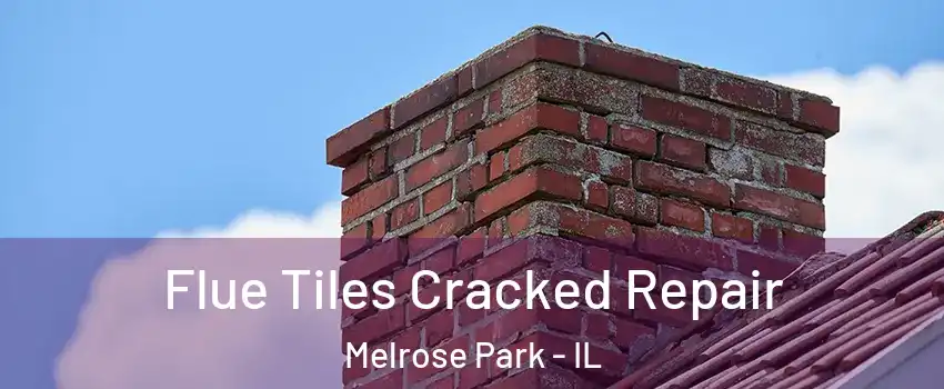  Flue Tiles Cracked Repair Melrose Park - IL