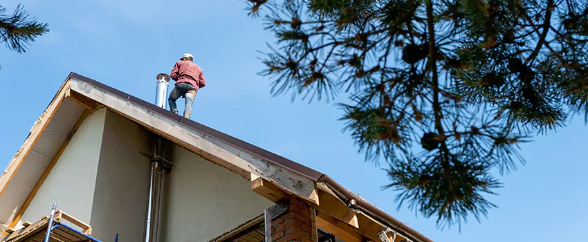 Birds Removal Contractors from Chimney in Melrose Park, IL
