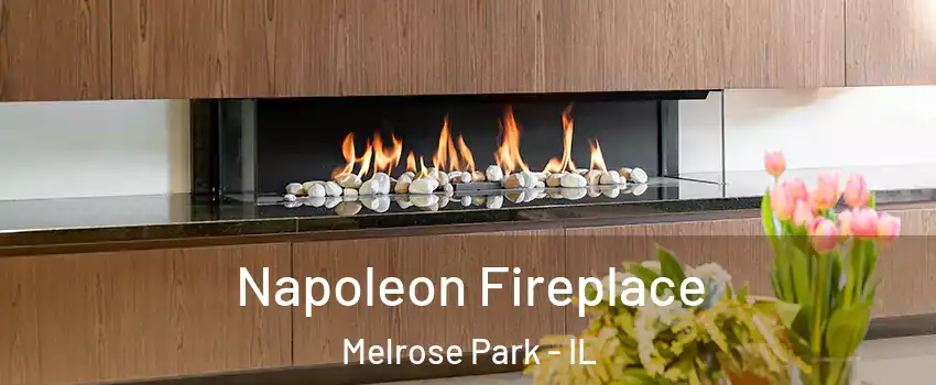 Napoleon Fireplace Melrose Park - IL