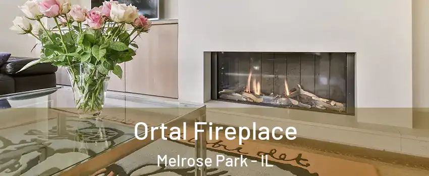 Ortal Fireplace Melrose Park - IL